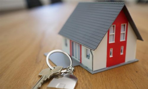 tierra-mallorca-rgJ1J8SDEAY-unsplash